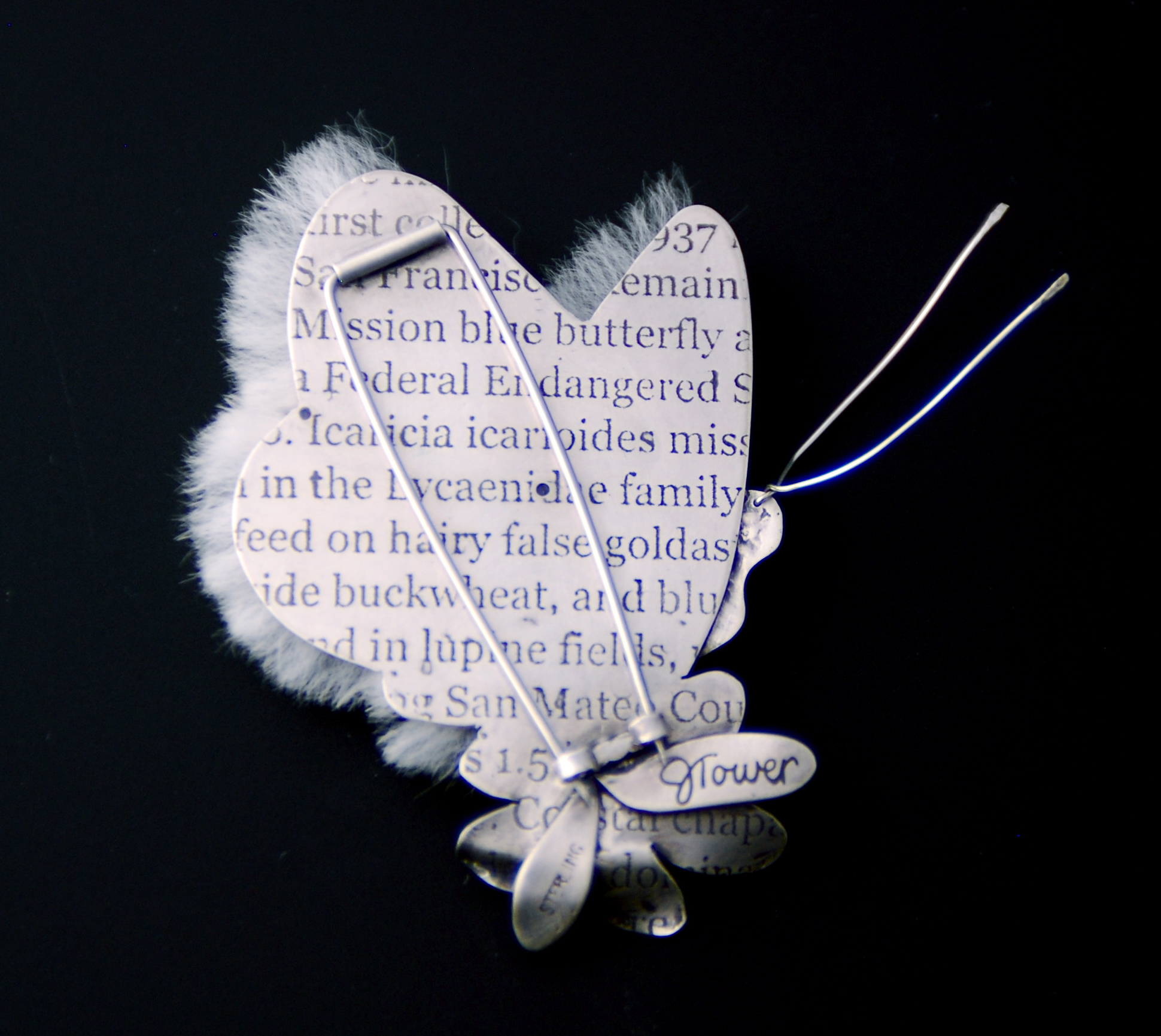 Mission Blue Butterfly - rear view